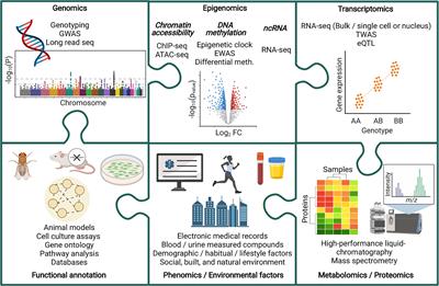 Harnessing the Full Potential of Multi-Omic Analyses to Advance the Study and Treatment of Chronic Kidney Disease